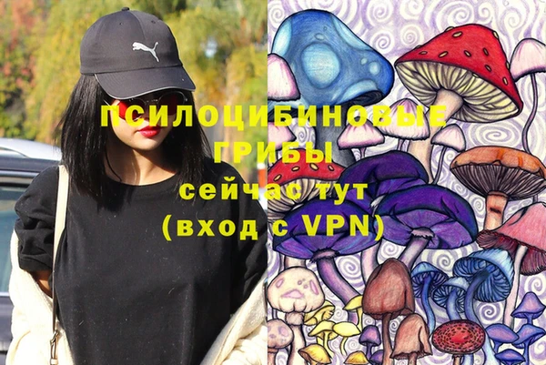 mdpv Алексин