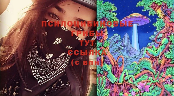 2c-b Алзамай