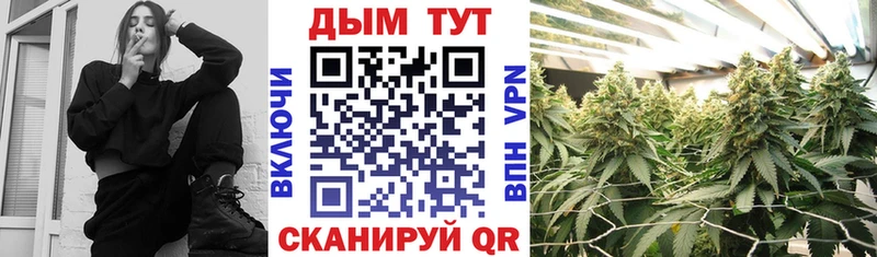 Конопля сатива  Приморск 